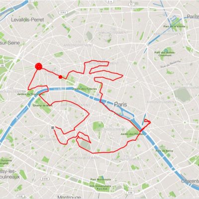 We found a cute little dog in Paris!